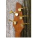 Carvin AE-5 Acoustic Electric Bass Semi Hollow Spruce Top Solid Koa1996