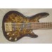 Samick Artist 5-String Saturn Faux Holoflash 2000's