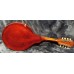Gibson A-1 Mandolin All-Original with Original Case 1916