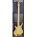 Charles Cote R5 5-String Bass 1996