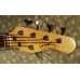 Godin Freeway 5 Deluxe Flame Top 5-String Bass 2008
